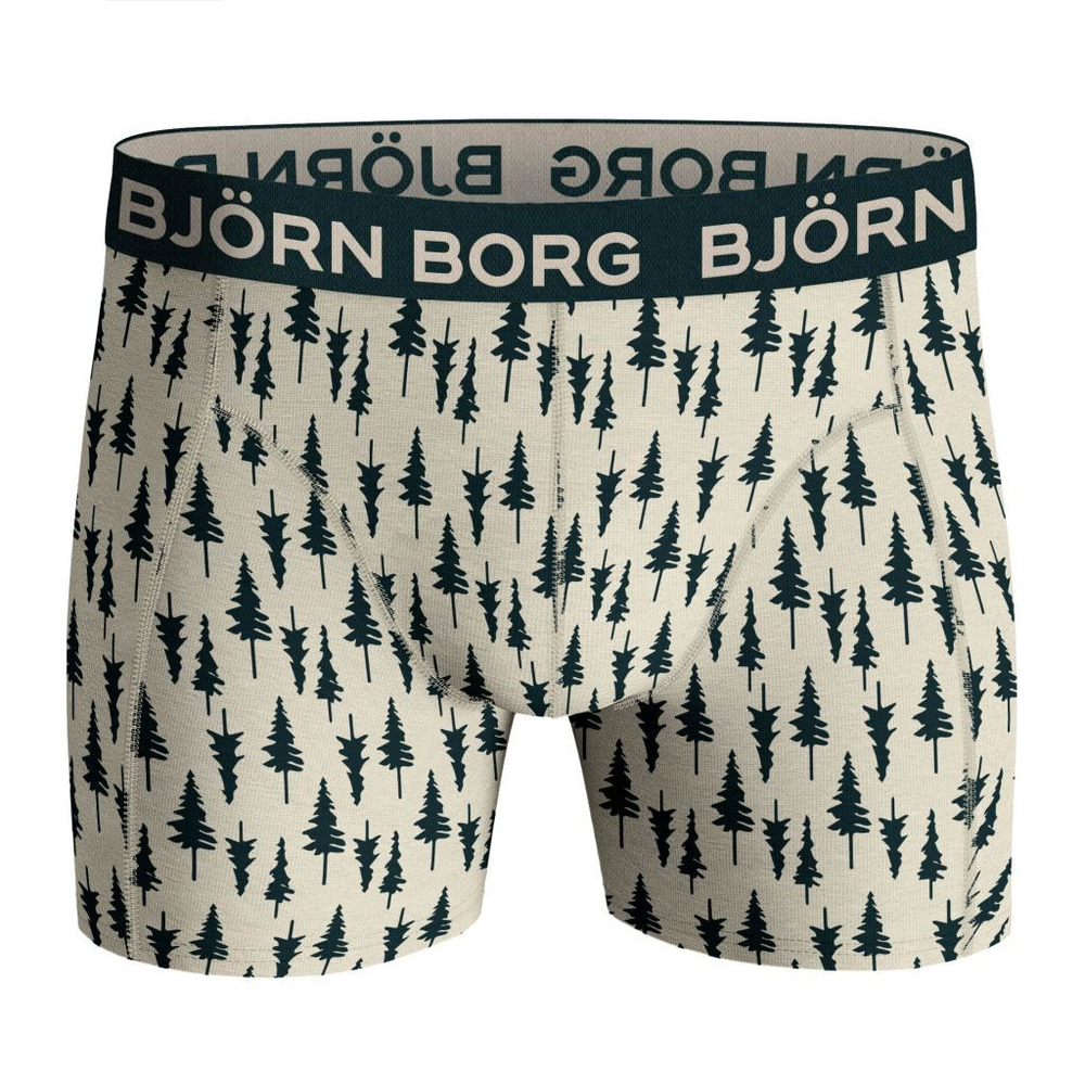 Мужские спортивные боксеры Björn Borg Core Boxer 2P - разноцветный