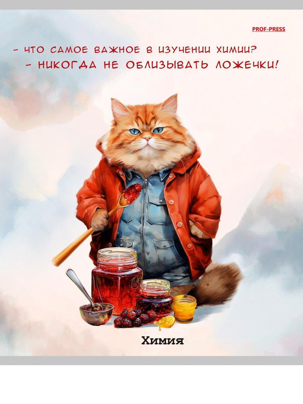 Тетрадь предметная 48л. клетка Химия "Жил-был кот" (Проф-Пресс)