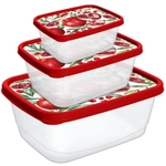 Набор контейнеров для продуктов прямоугольных 3 шт (0,5л+0,85л+1,5л) красный