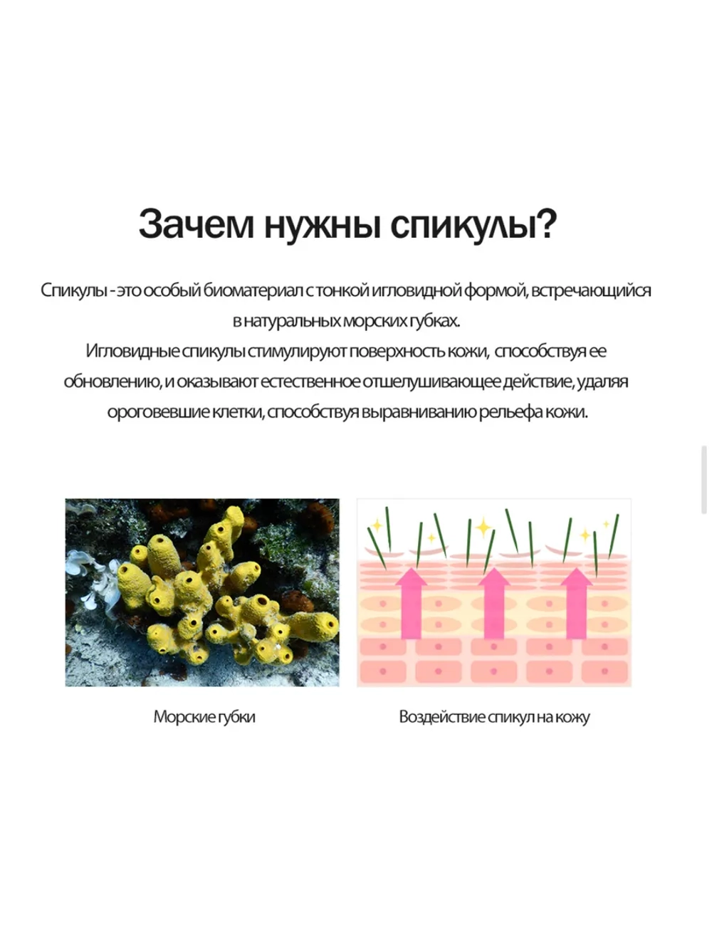 Антивозрастной крем для лица с бакучиолом и спикулами