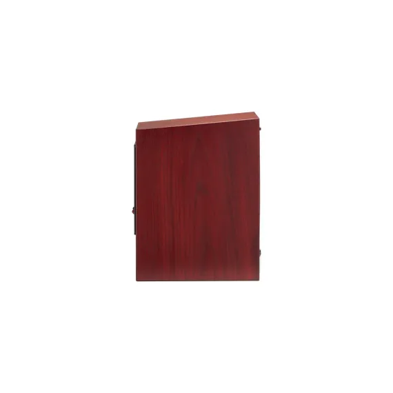 Martin Logan Motion 15i Red Walnut