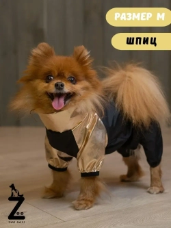 Комбинезон для мелких и средних собак