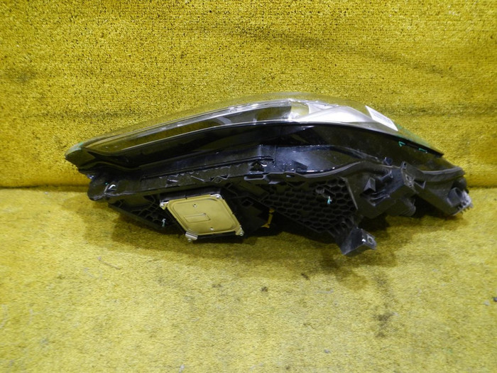 DSCN8029.JPG