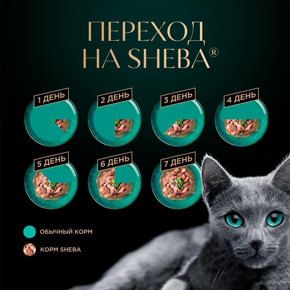 Лосось ломтики в соусе, 75г влажный корм для кошек Sheba