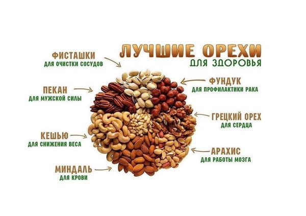 Польза орехов для организма человека Польза орехов для организма человека