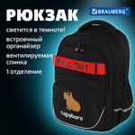 Рюкзак BRAUBERG MOTION, 2 отделения, 3 кармана, "Calm capy", СВЕТЯЩИЙСЯ, 41х28х17 см, 272032