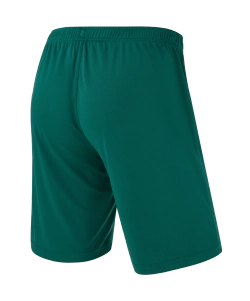 Шорты игровые CAMP Classic Shorts, темно-зеленый