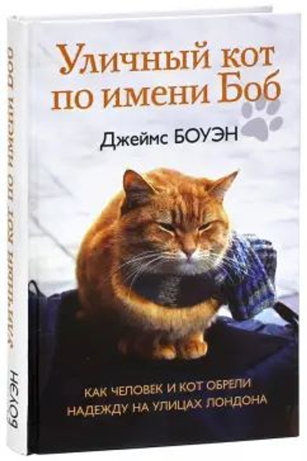 Уличный кот по имени Боб