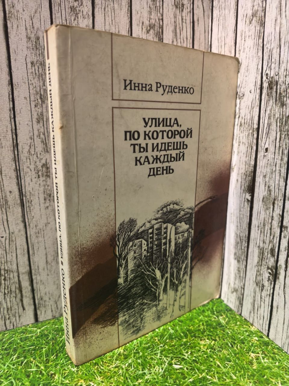 Инна Руденко. Улица, по которой ты идешь каждый день .