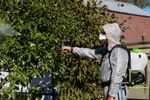 Опрыскиватель аккумуляторный Greenworks Арт. 5300307, 24V, c АКБ 4Ач и ЗУ