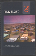 Pink Floyd / A Momentary Lapse Of Reason (MC)