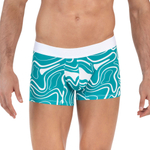 Бирюзовые трусы-хипсы с принтом Dynamic Trunks (Размер: S) (Цвет: бирюзовый)