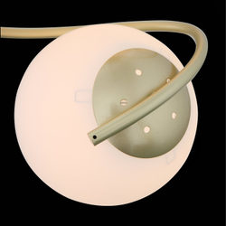 Светильник потолочный Evoluce Delicata SL711.202.04