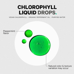 Codeage, Chlorophyll Liquid Drops, перечная мята, 60 мл (2 жидк. Унции)