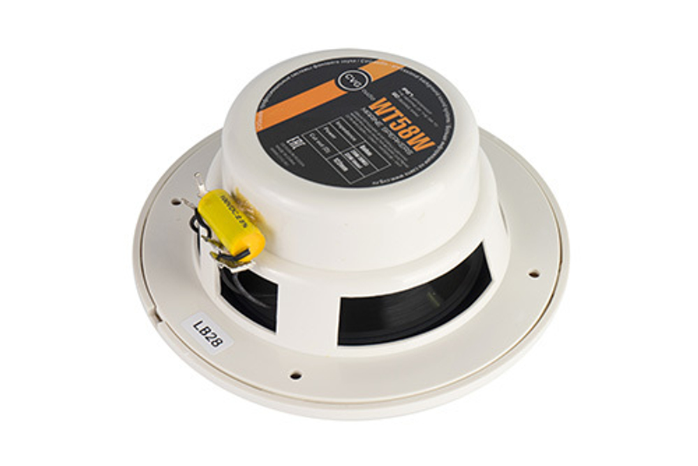 CVGaudio WT58W