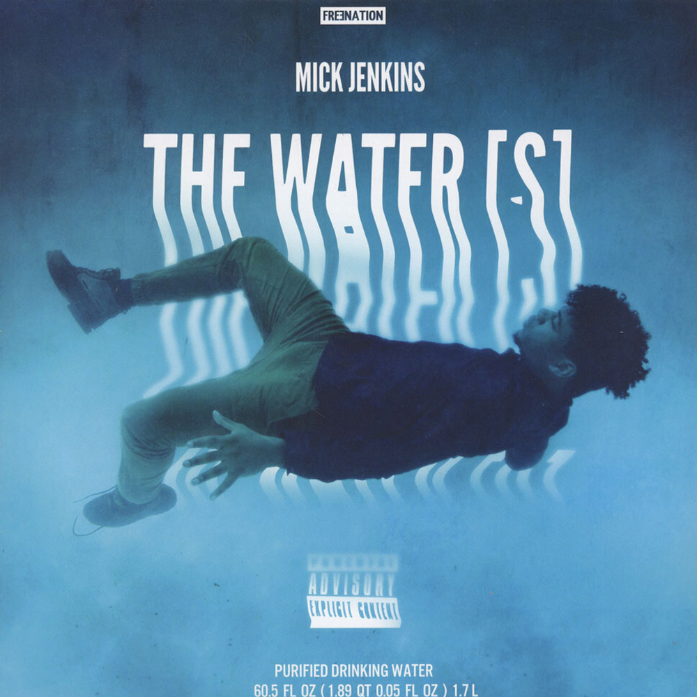 Mick Jenkins The Water[s]