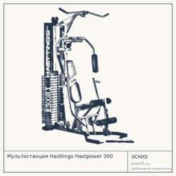 Мультистанция Hasttings Hastpower 300 — от 76 000 ₽