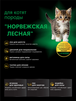 Корм сухой для котят породы Норвежская лесная, с ягненком, 2кг, QUATTRO
