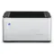 PS Audio BHK Signature 300 mono Silver