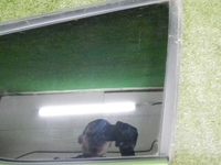 DSCN9198.jpg
