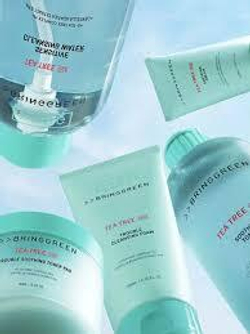 BRINGGREEN Tea Tree Cica Sensitive Cleansing Water 500ml