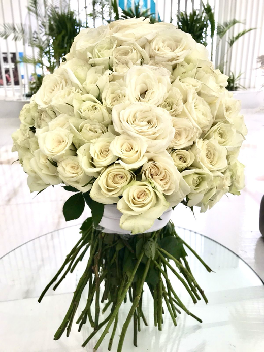 141 White Roses