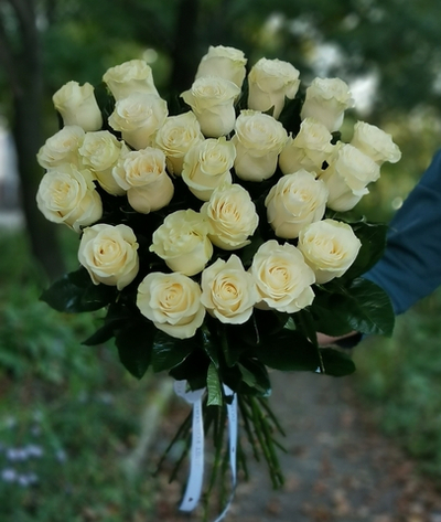 25 белых роз 70 см