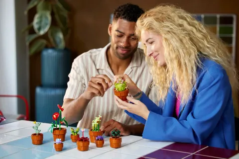 Конструктор LEGO Botanical Collection 10329 Крошечные растения