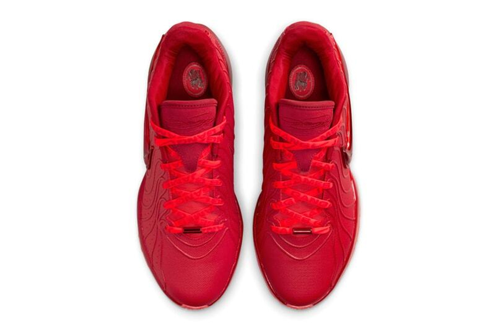 Заказать в Москве Nike LeBron 21 James Gang