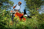 Кусторез Stihl FS 350