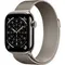 Умные часы Apple Watch Series 11 46 мм Titanium Milanese Loop Титановый Natural