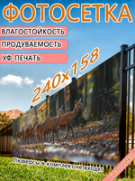 Фотосетка 240х158 светостойкая