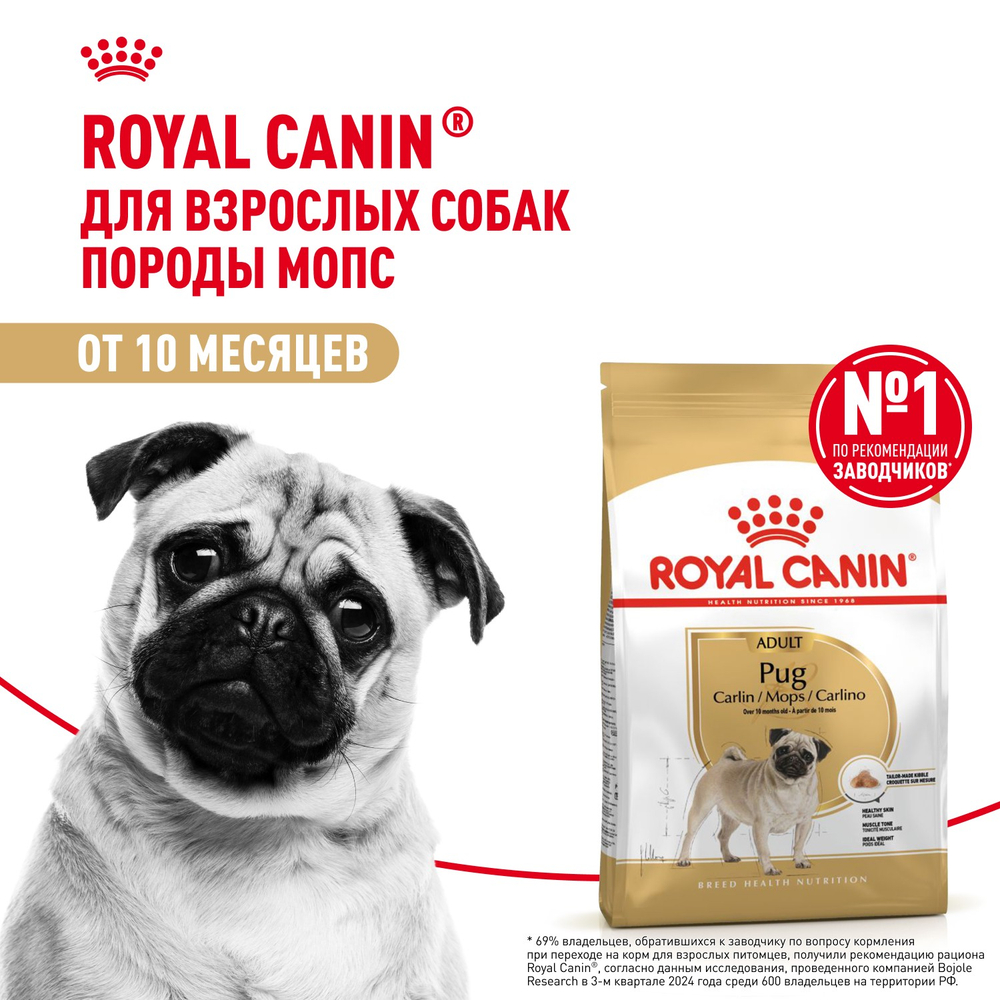 Royal Canin Pug Adult Мопс Эдалт Корм сухой для взрослых собак породы Мопс от 10 месяцев 7,5кг