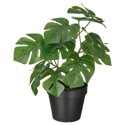 FEJKA Искусственное горшечное растение, комнатное/открытое Monstera, 12 см