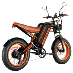Электровелосипед KUGOO V6
