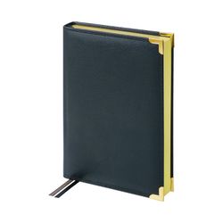 Ежедневник Delucci недатированный А5 (UD1_90501)