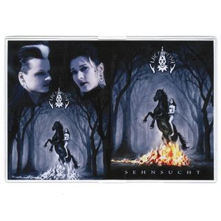Обложка для паспорта Lacrimosa Sehnsucht (032)