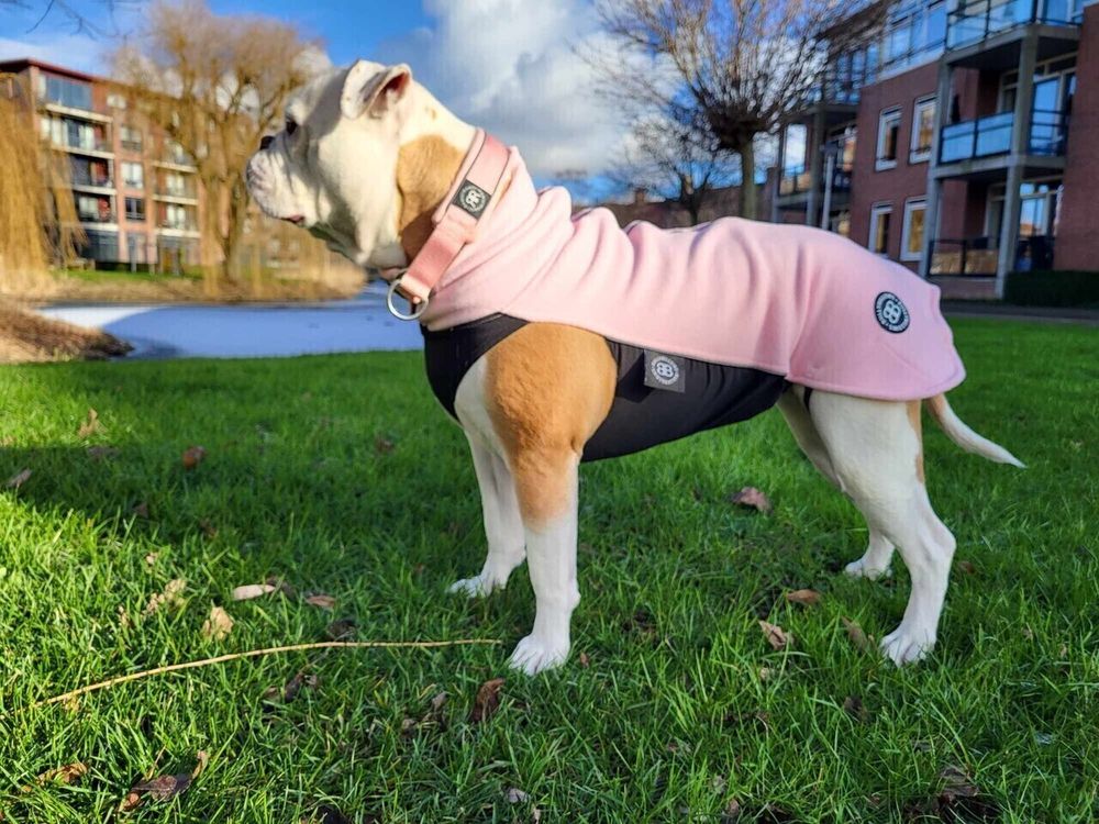 Флисовая попона Dog Fleece BullyBillows