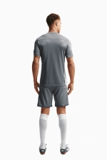 Шорты Nike Dri-FIT Academy 25 - серый