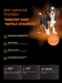 Quattro корм для щенков породы Кавалер кинг чарльз спаниель, с индейкой, 6 кг, QUATTRO
