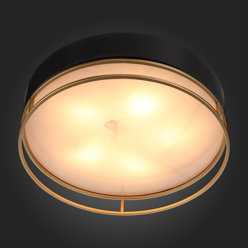 Светильник потолочный ST Luce Chodo SL1127.432.05