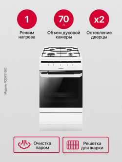 Газовая плита Hansa FCGW51003