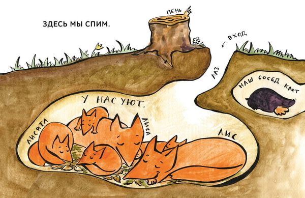 Зато сам! Рассказы для первого чтения. 3 ступень (6-7 букв)