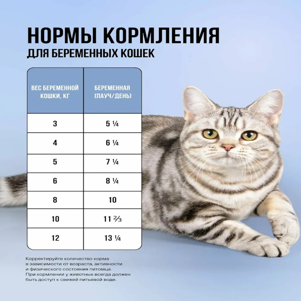 Пауч BOWL WOW для котят и беременных кошек с белой рыбой и тыквой, кусочки в соусе