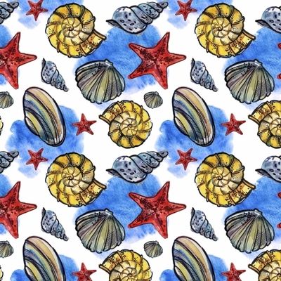 Морские звезды и ракушки