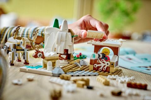 Конструктор LEGO Education 45203 Arctic Animals Science Kit