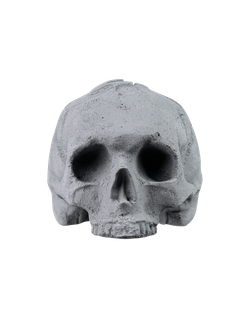 SCULL grey