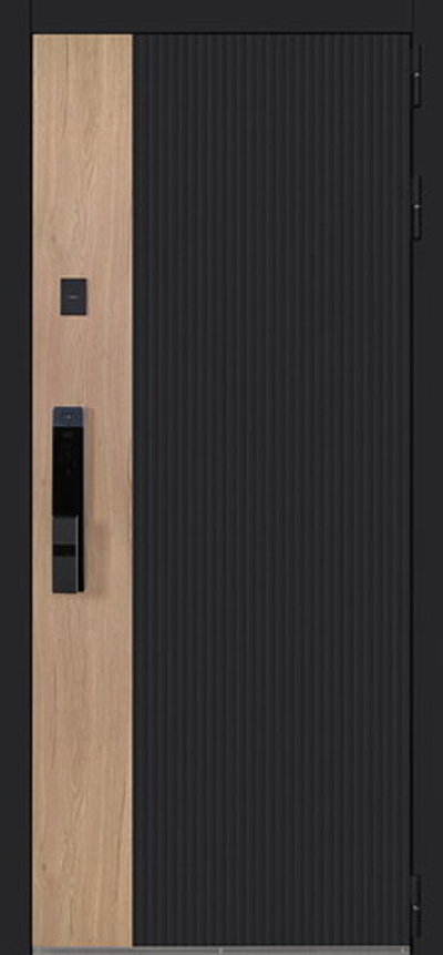 Стальная дверь «Конструктор» (биометрический замок Smart lock Y23)