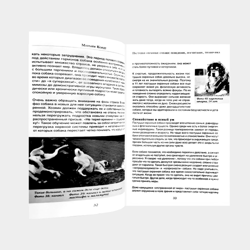 Мирьям Кордт. Пастушьи охранные собаки. Поведение. Воспитание. Тренировка