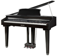 Becker BDGP-1